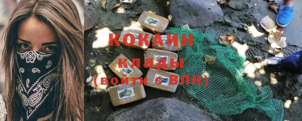 гашик Себеж