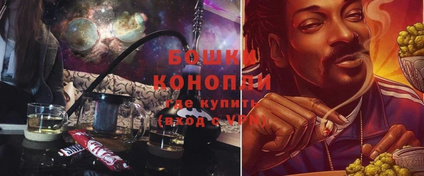 ПСИЛОЦИБИНОВЫЕ ГРИБЫ Надым