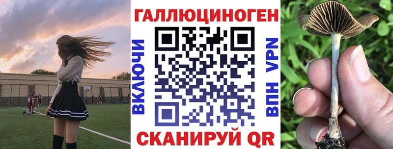 Псилоцибиновые грибы ЛСД  магазин    Каневская 
